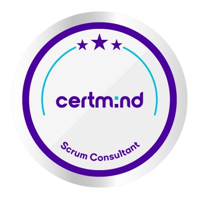 Scrum Consultant