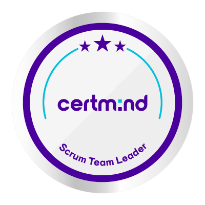 Scrum Team Leader